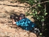 Adelaide Hills