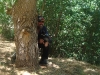 Adelaide Hills