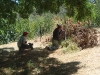 Adelaide Hills                         