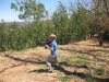 img_1815.jpg